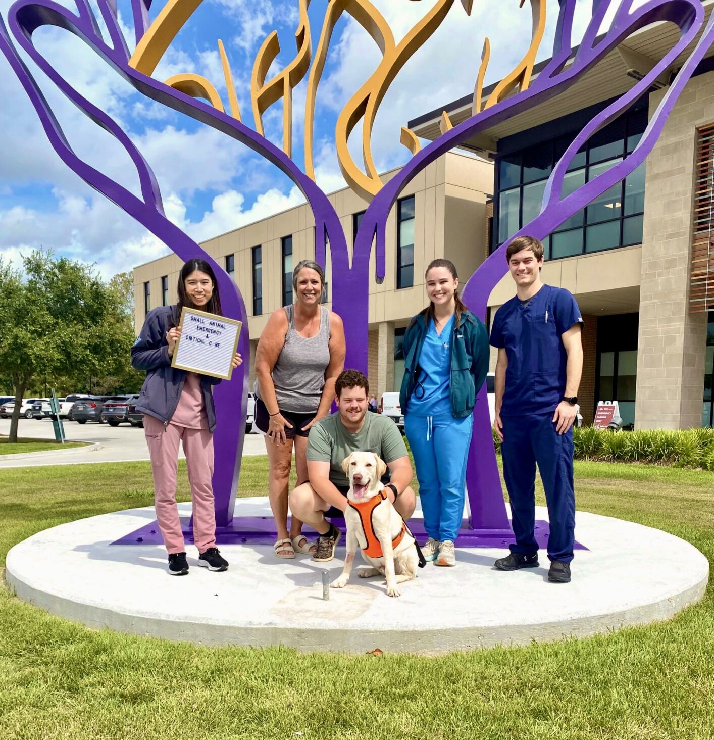 lsu vet med sculpture 5